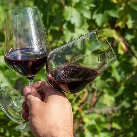 Farm stay Viticcio Greve in Chianti
