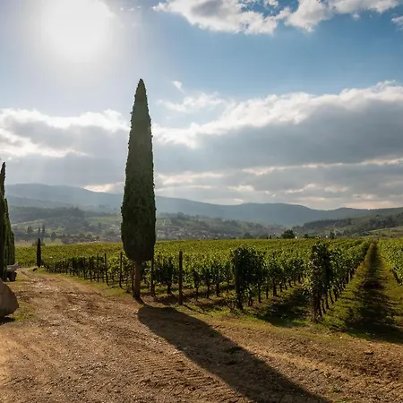 Farm stay Viticcio Greve in Chianti