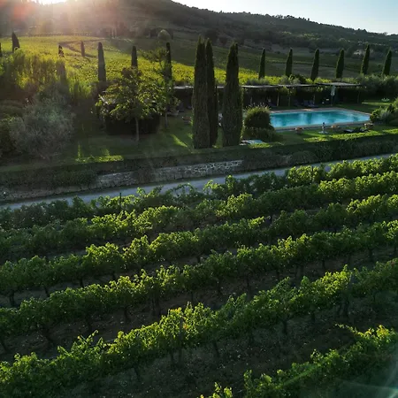 Viticcio * Greve in Chianti